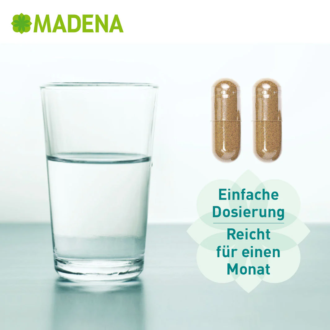 Vorschaubild 5