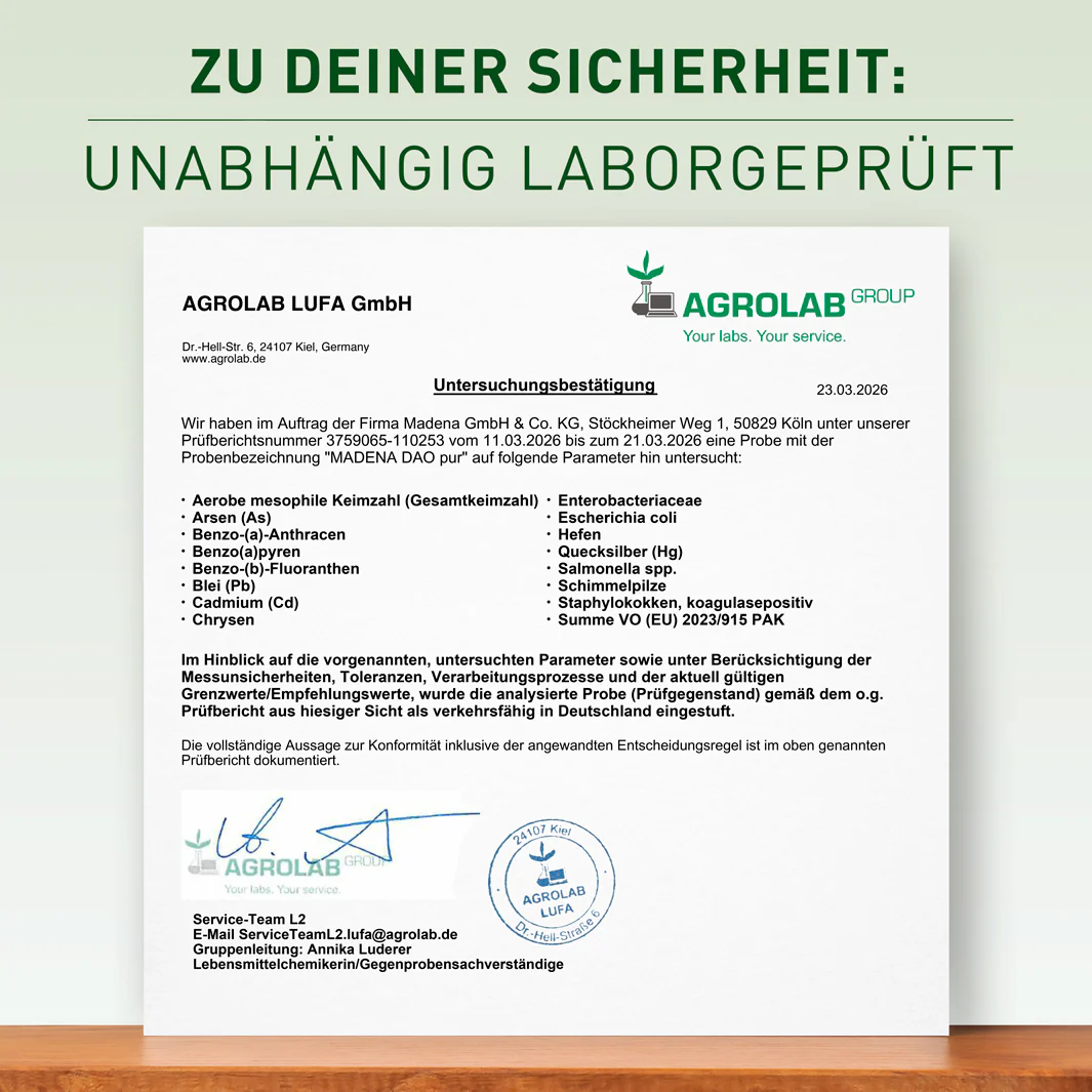 Vorschaubild 8