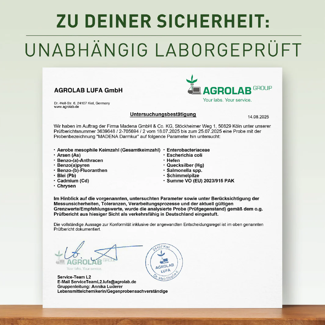 Vorschaubild 4