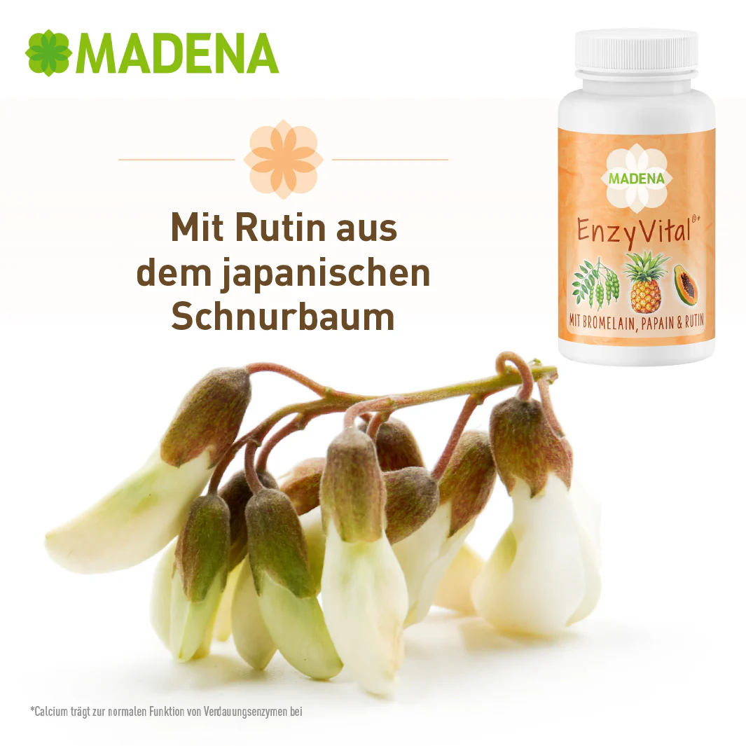 Vorschaubild 7