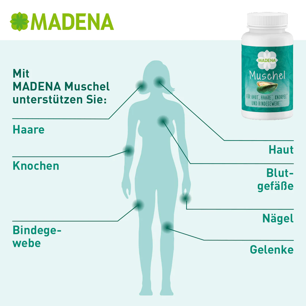 Vorschaubild 5