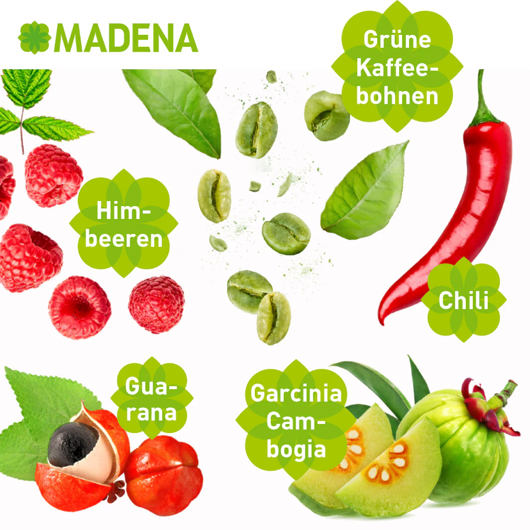 Vorschaubild 4