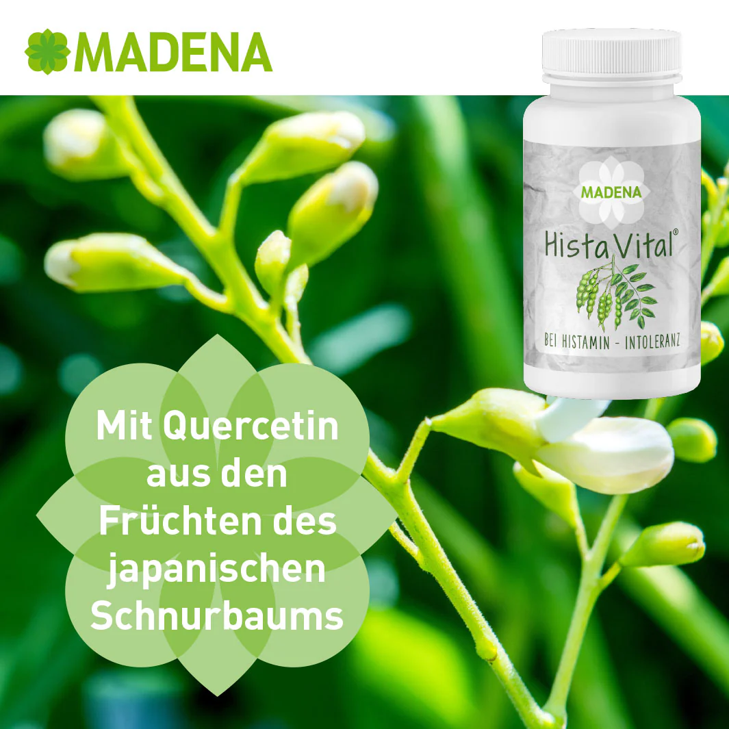 Vorschaubild 10