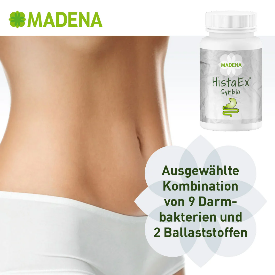 Vorschaubild 4