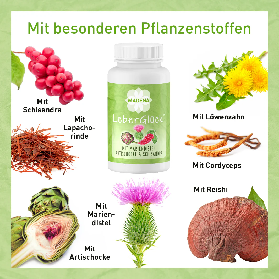 Vorschaubild 5