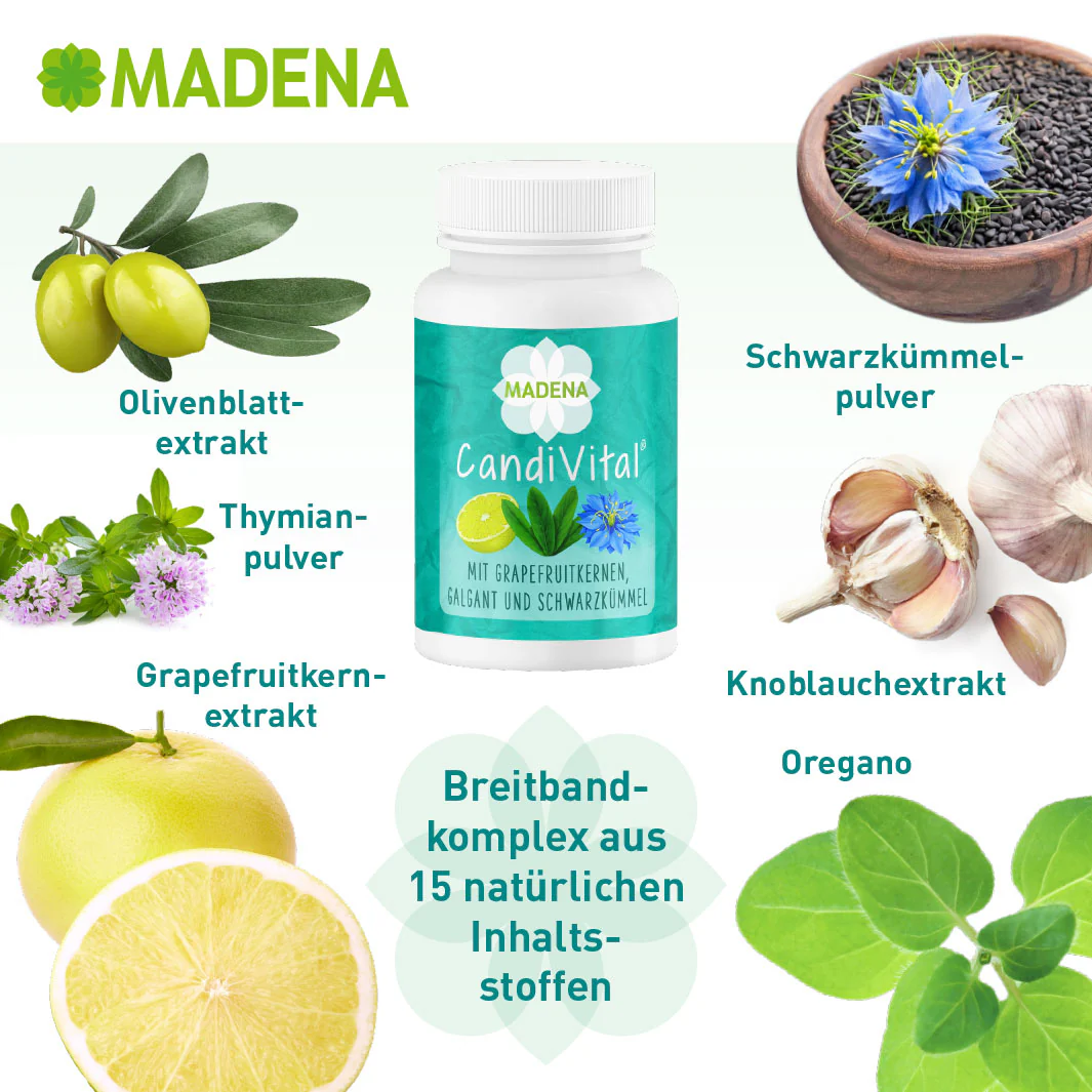 Vorschaubild 4