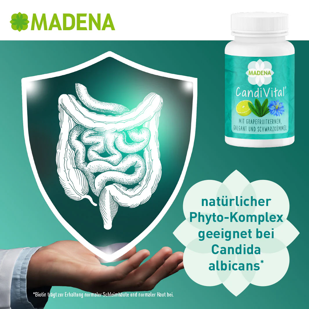 Vorschaubild 5