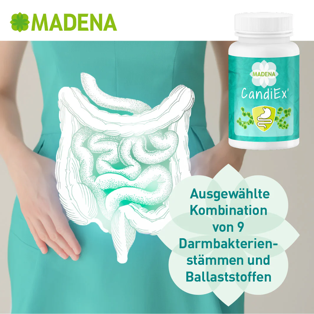 Vorschaubild 9