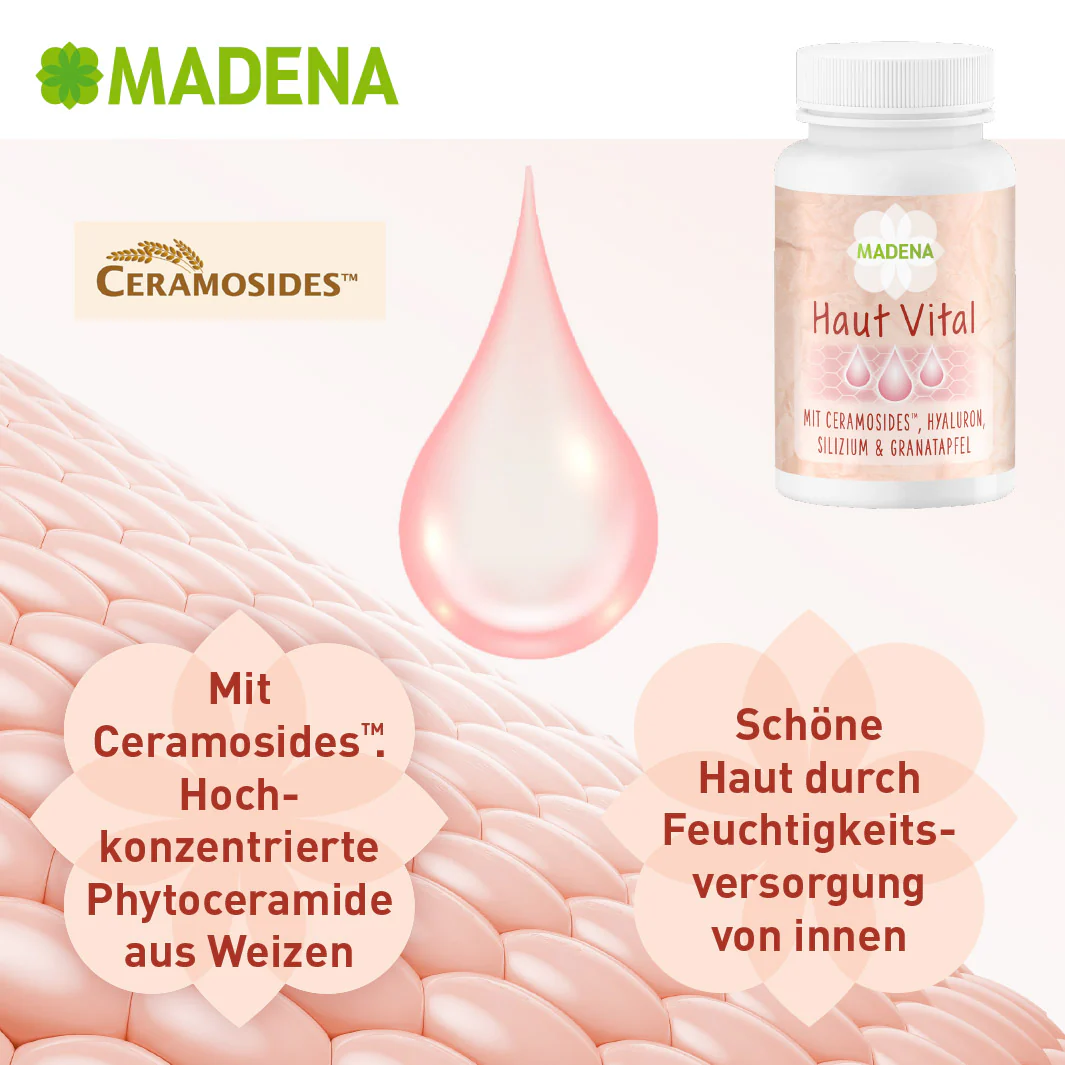 Vorschaubild 7