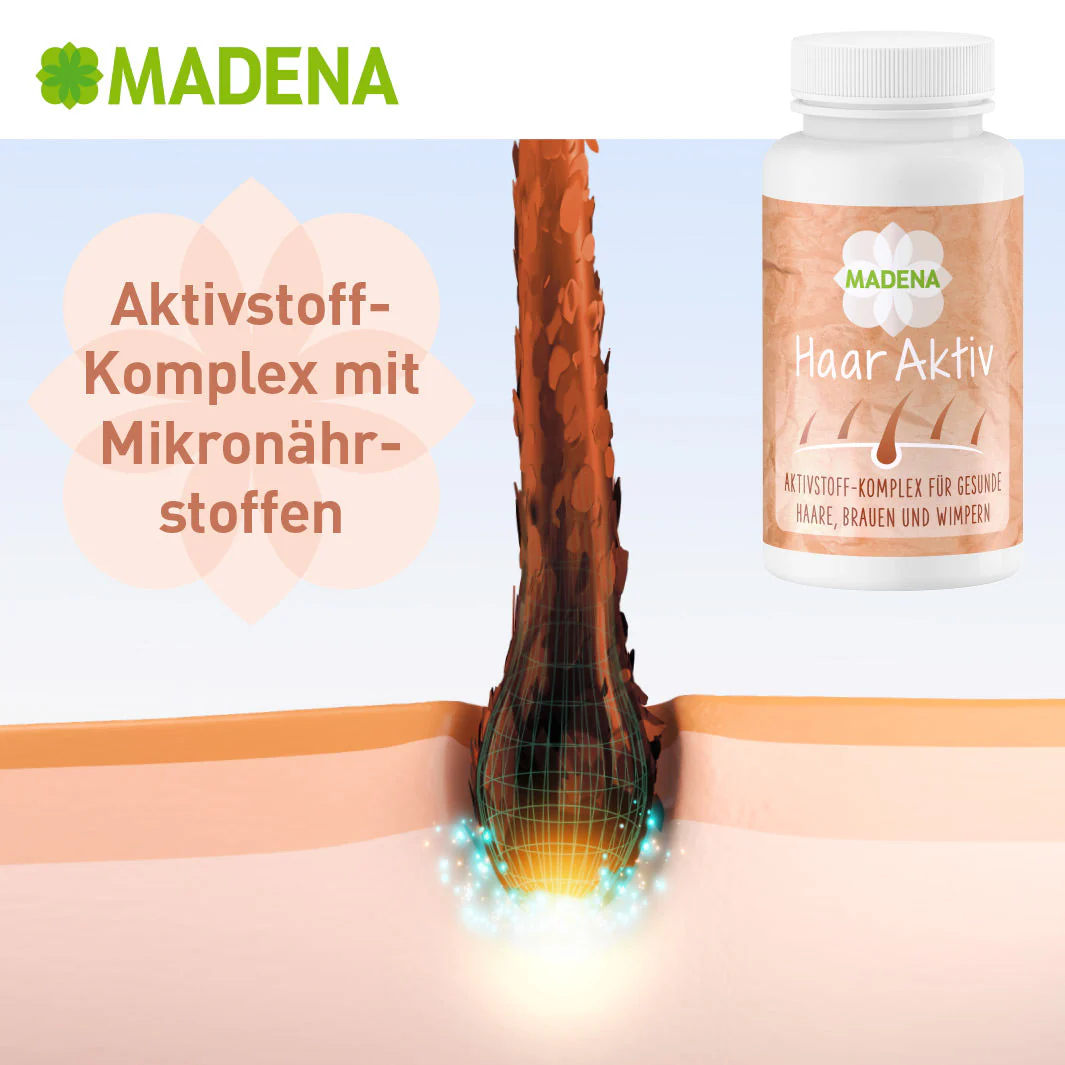 Vorschaubild 14