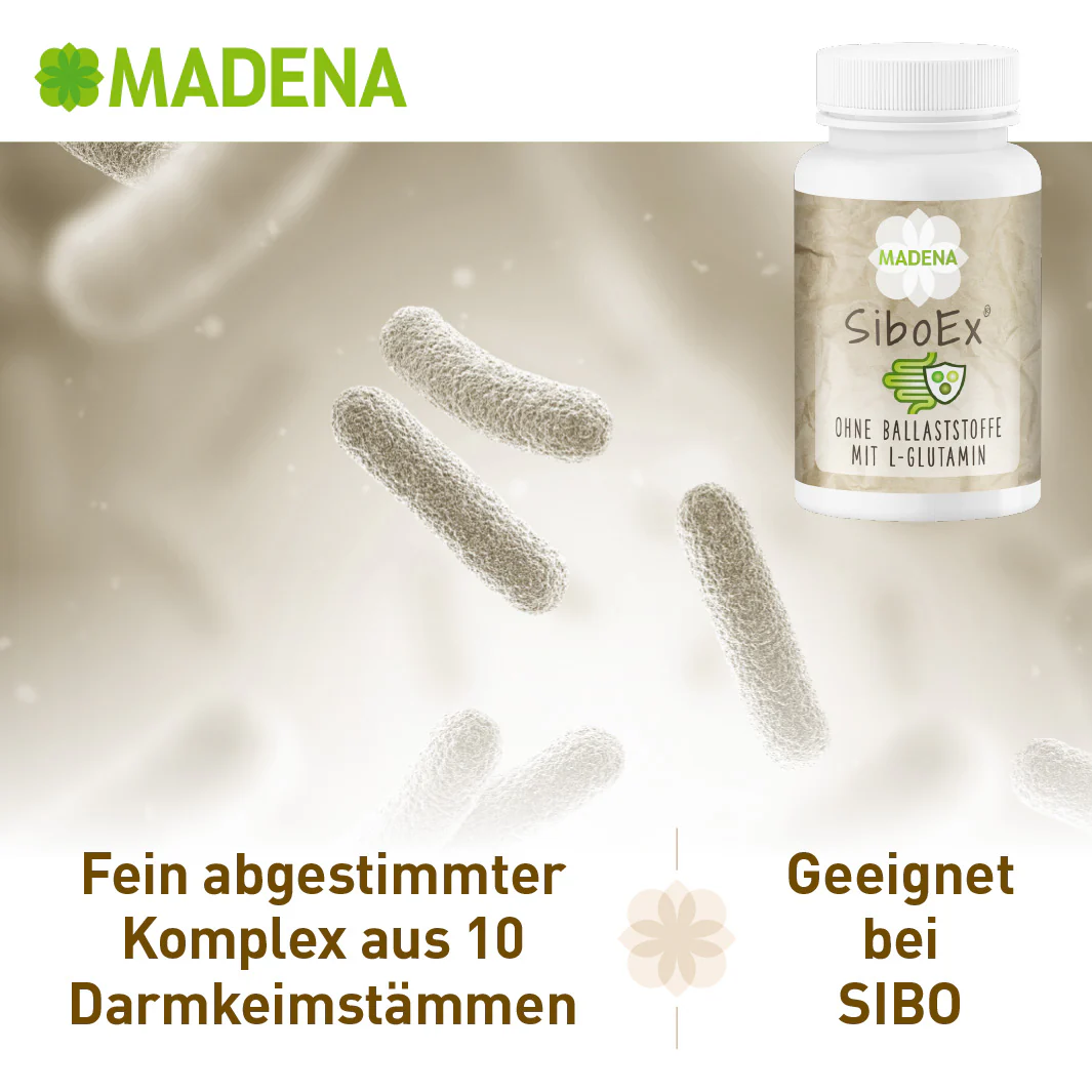 Vorschaubild 20