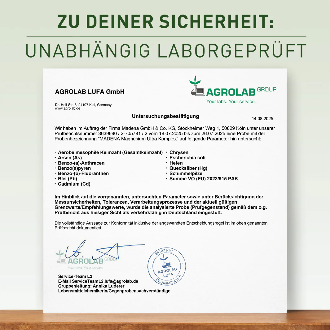 Vorschaubild 8
