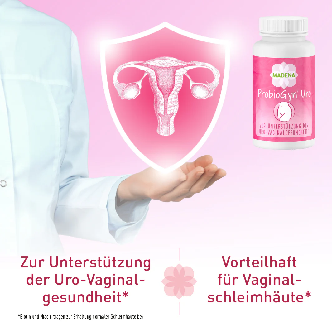 Vorschaubild 4
