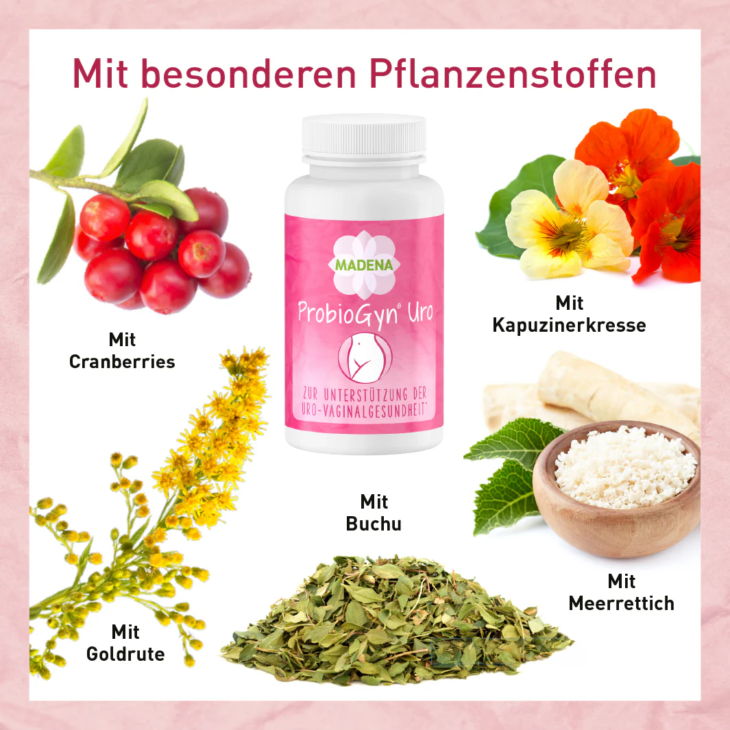 Vorschaubild 6