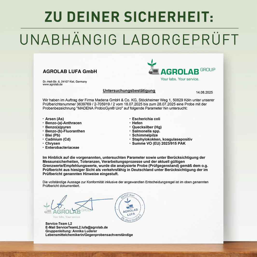 Vorschaubild 8