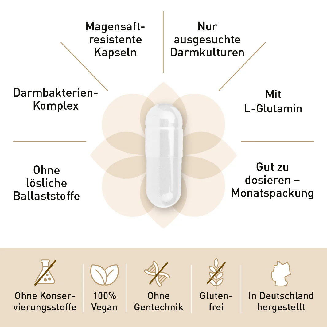 Vorschaubild 8