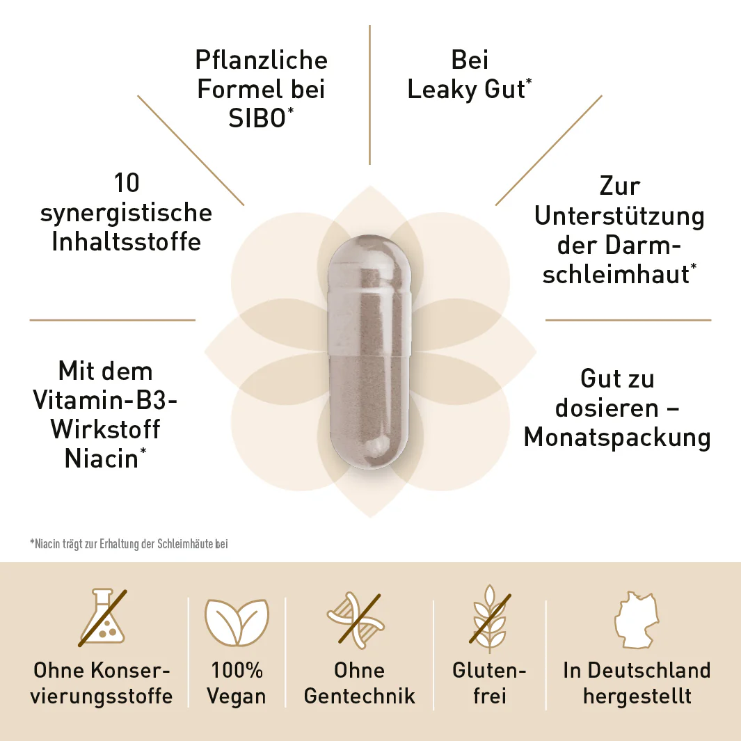 Vorschaubild 10