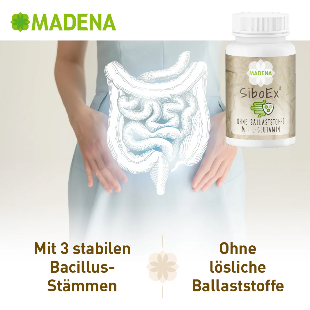 Vorschaubild 5