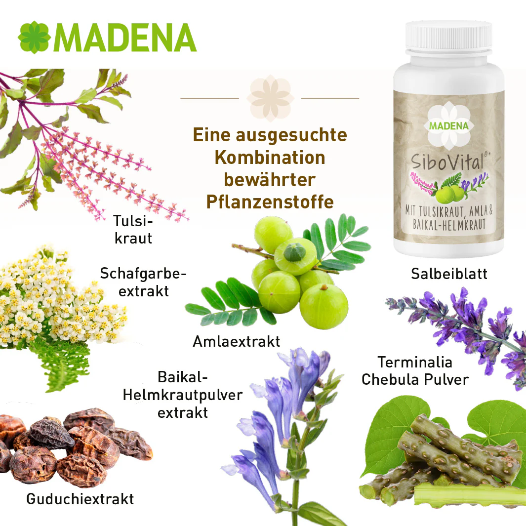 Vorschaubild 6