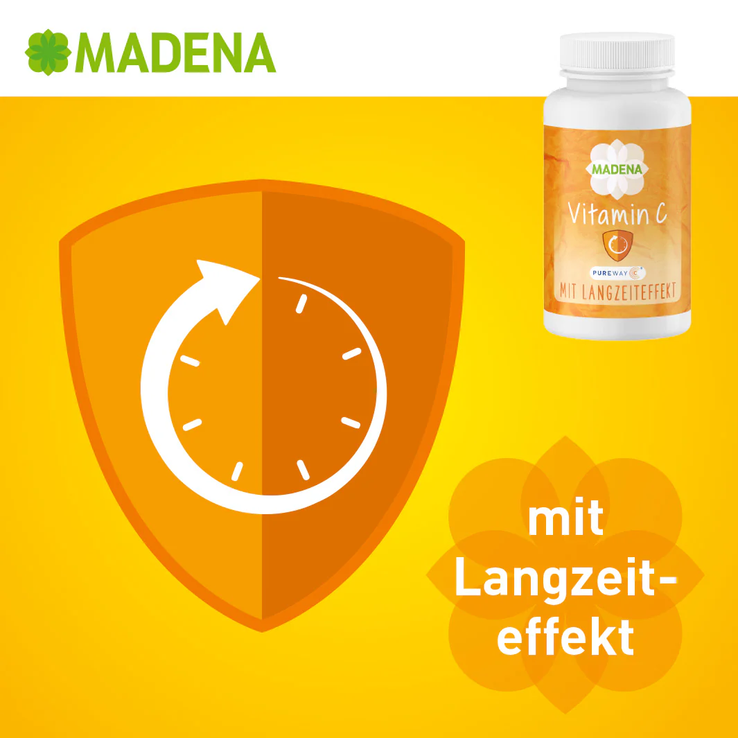 Vorschaubild 7